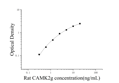 大鼠鈣/鈣調(diào)蛋白依賴性蛋白激酶Ⅱγ(CAMK2g)ELISA檢測(cè)試劑盒 [貨號(hào):JL14959]