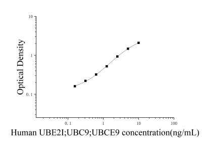 人泛素結(jié)合酶E2C結(jié)合蛋白E2I(UBE2I;UBC9;UBCE9)ELISA檢測試劑盒 [貨號:JL15284]