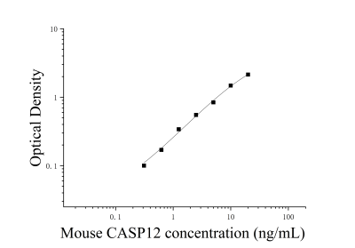 小鼠半胱氨酸天冬氨酸特異性蛋白酶12（CASP12） ELISA檢測(cè)試劑盒 [貨號(hào):JL37536]