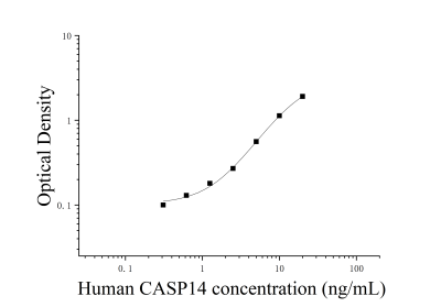 人胱天蛋白酶14(CASP14)ELISA檢測試劑盒 [貨號(hào):JL42577]