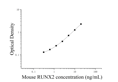 小鼠Runt相關(guān)轉(zhuǎn)錄因子2(RUNX2)ELISA檢測試劑盒 [貨號(hào):JL43516]