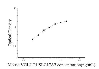小鼠囊泡谷氨酸轉(zhuǎn)運(yùn)蛋白1(VGLUT1;SLC17A7)ELISA檢測試劑盒 [貨號:JL51497]